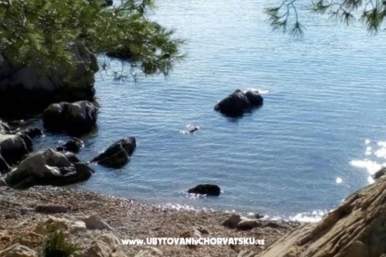 Appartement - kamena kuća  Šparoga – foto 7