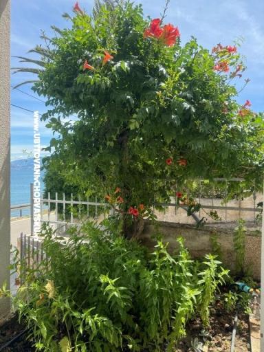 Appartementen Adria – foto 20