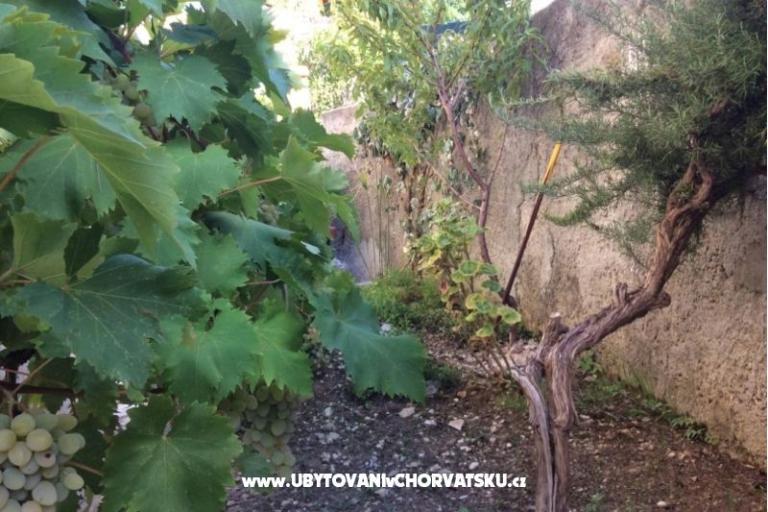 Appartementen Adria – foto 5