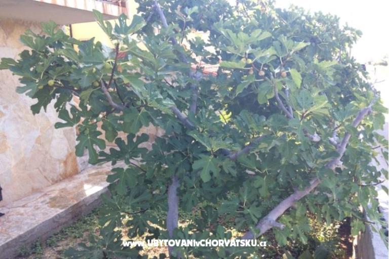 Appartementen Adria – foto 6