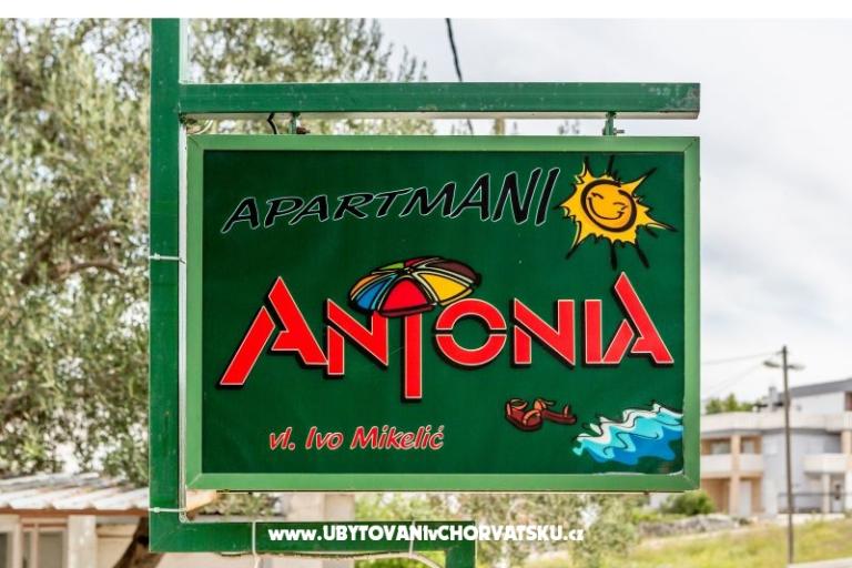 Appartementen Antonia – foto 18