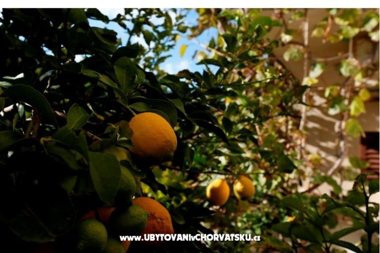 Baković - op het strand – foto 10