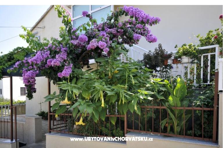 Appartementen Borna – foto 18