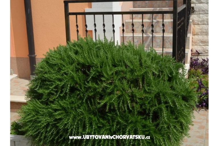 Appartementen Brksi  – foto 14