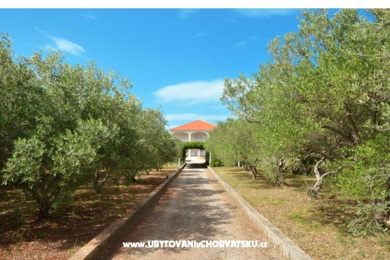 Appartementen Lukas – foto 11