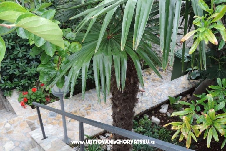 Appartementen Natasa – foto 16