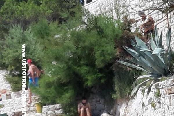 Appartementen Neda Parežanin – foto 7