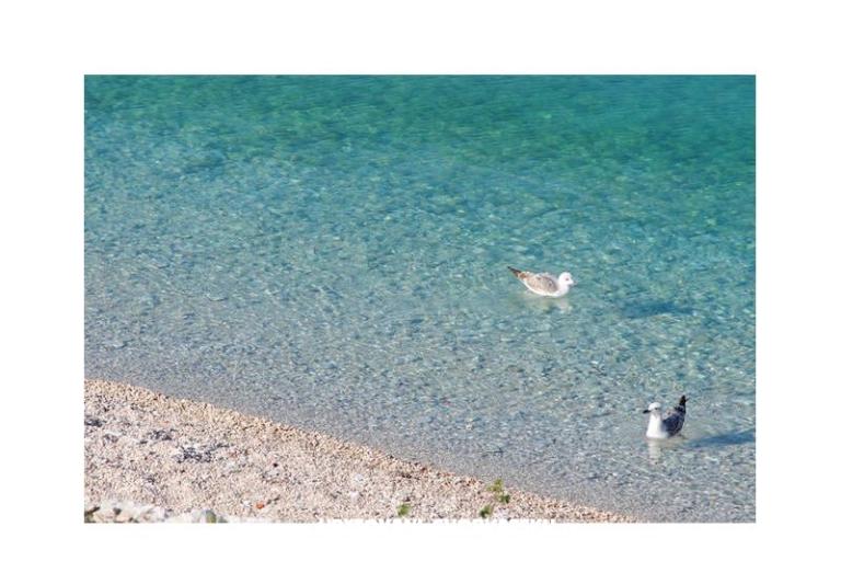 Appartementen Neva – foto 7