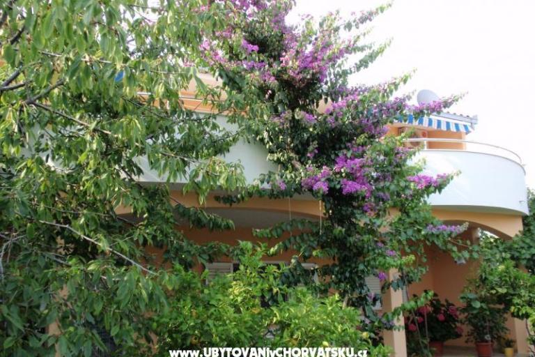 Appartementen Bijelić – foto 12