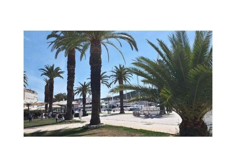 Appartement Ljubica – foto 16