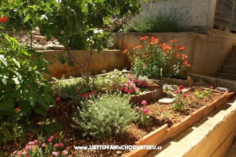 Appartementen Ljilja – foto 10