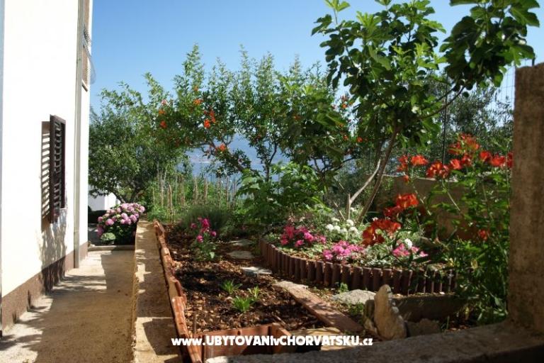 Appartementen Ljilja – foto 13