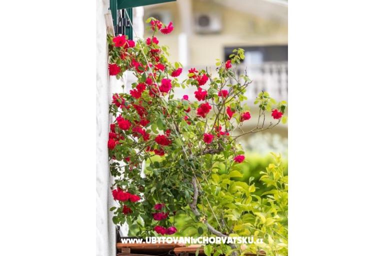 Appartementen Marina – foto 33