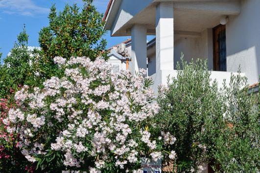 Appartementen Ruža – foto 2