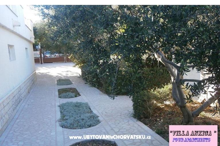 Appartementen Villa Ankica – foto 10