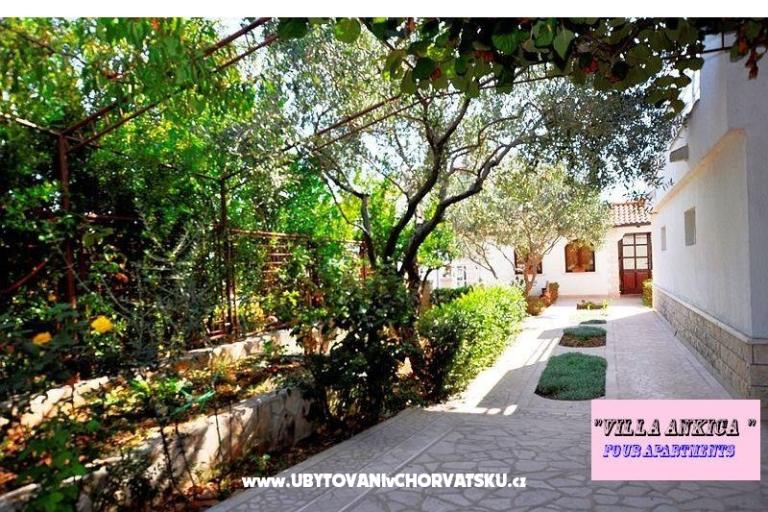 Appartementen Villa Ankica – foto 6