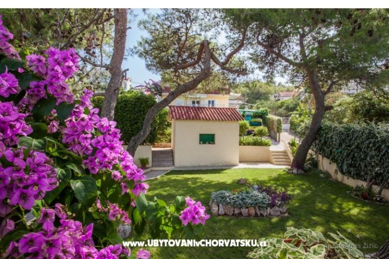 Appartementen Žižić – foto 11