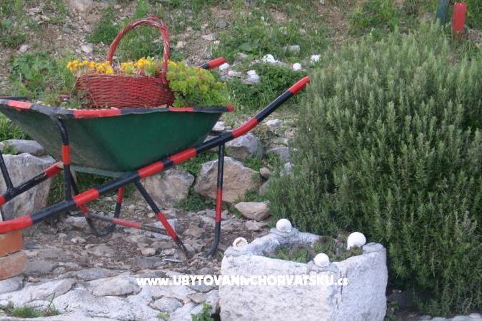 Carmen Appartementen – foto 15