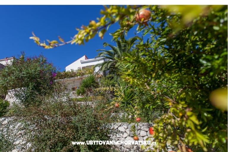 Vakantiehuis Bok – foto 15