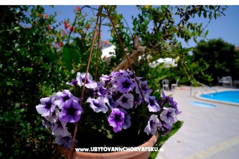 Pensioen Jeric – foto 10