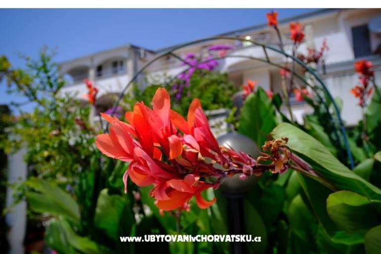 Pensioen Jeric – foto 14