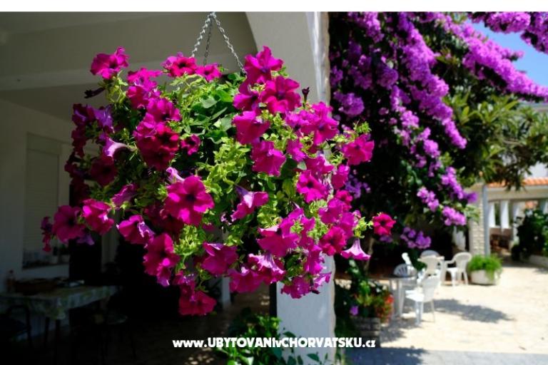 Pensioen Jeric – foto 3