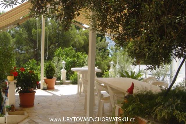 Appartementen Zgogo – foto 6