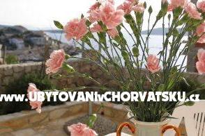 Appartementen Cerjan – foto 10