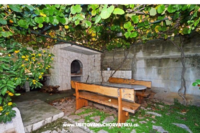 Anamaria – foto 15