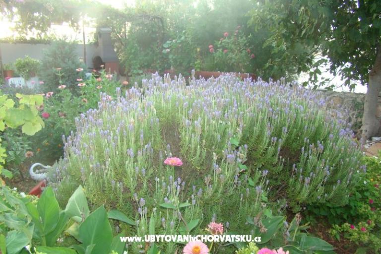 Appartementen Villa Milena – foto 6