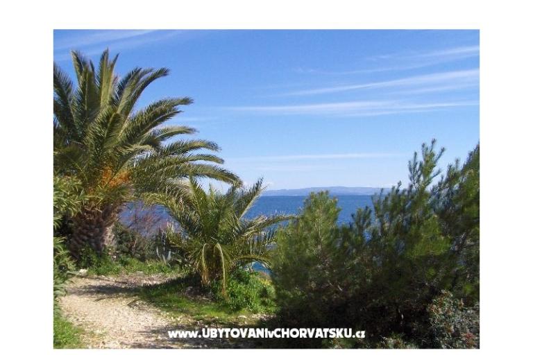 Vakantiehuis Oliviano – foto 13