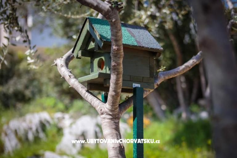 Huis Tea in a beautiful nature – foto 8