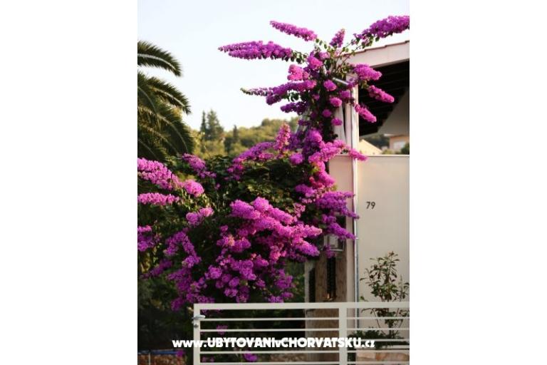 Villa Verandah – foto 9