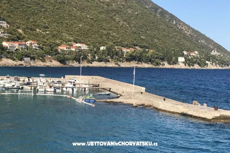 Vila Nautilus luxury Appartementen – foto 22