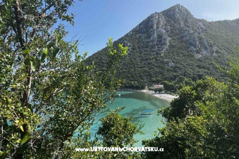 Vila Nautilus luxury Appartementen – foto 9