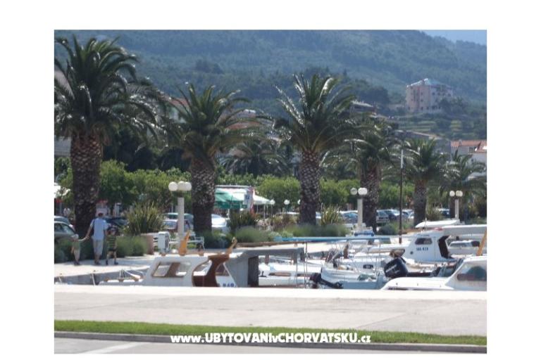 Appartementen Marta – foto 14