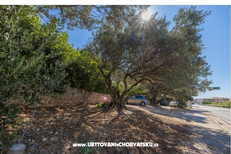 Appartementen Marta – foto 18