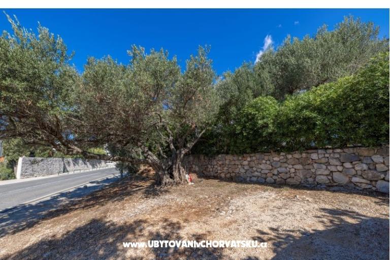 Appartementen Marta – foto 19