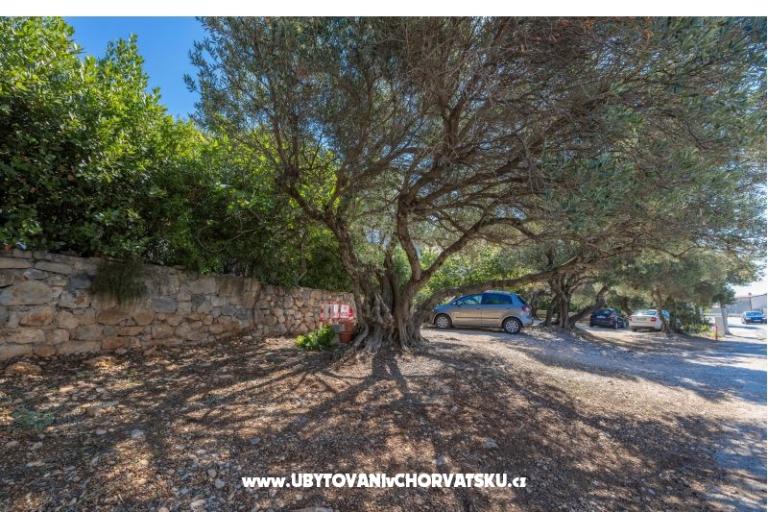 Appartementen Marta – foto 21