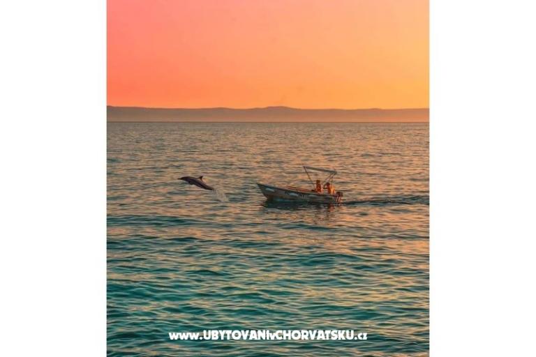 Appartementen Sonja – foto 12