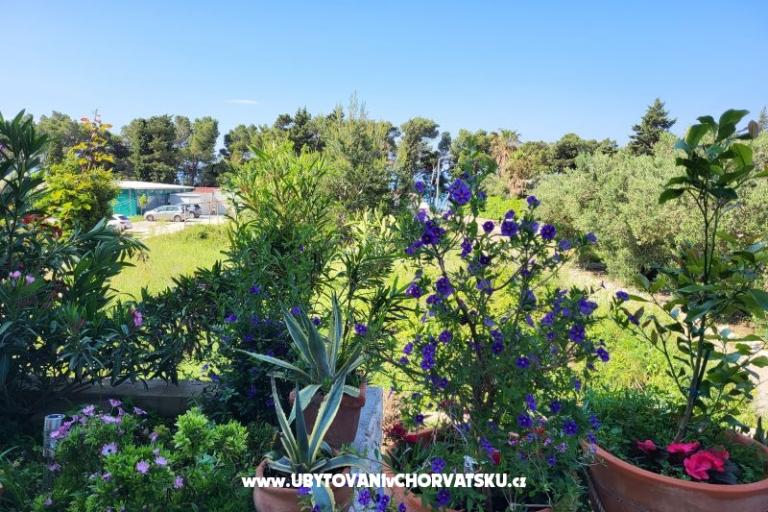 Appartementen IKO - Tučepi – foto 20
