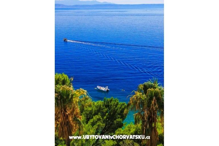 Appartementen Malina i Krsto – foto 5