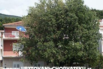 Appartementen Maja Sevelj – foto 2