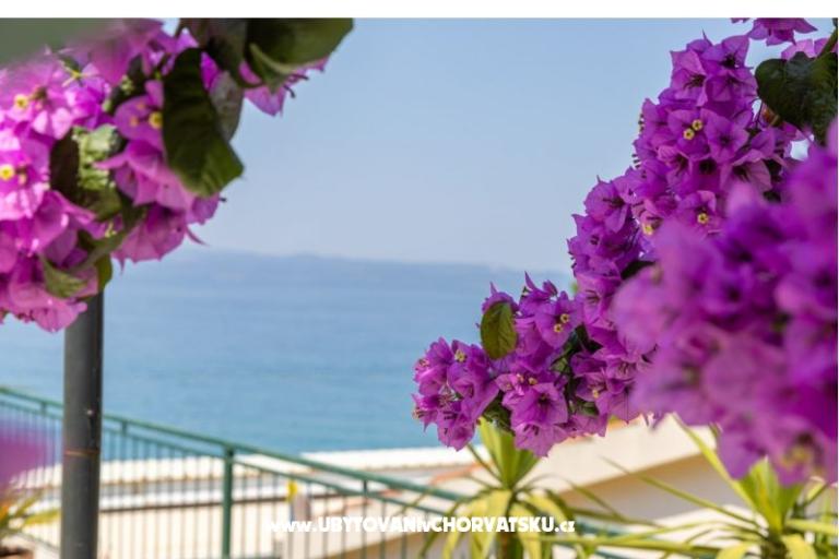 Beachfront Appartement NIVES – foto 29