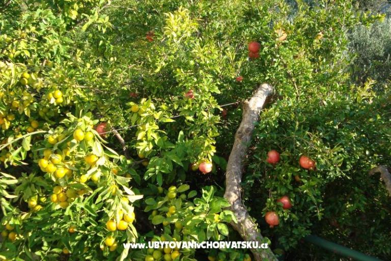 Appartementen Čović – foto 12