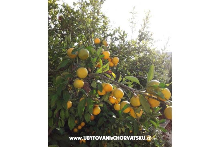 Appartementen Čović – foto 14