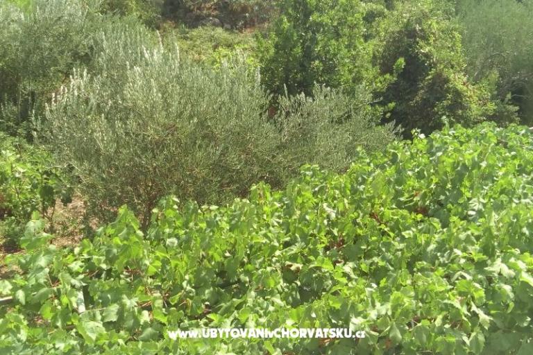 Appartementen Čović – foto 16