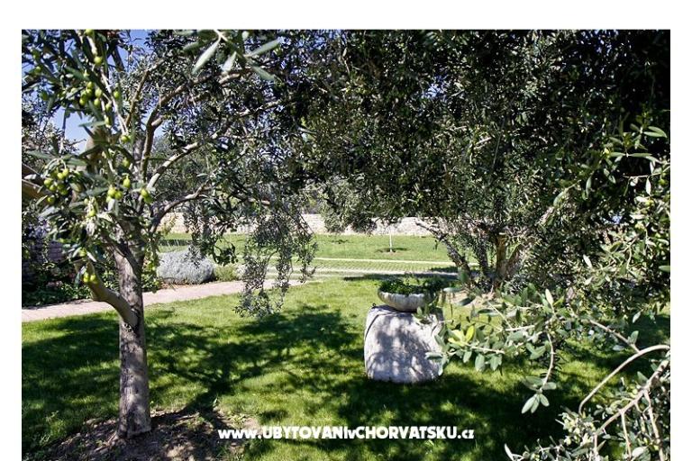 Appartementen Benic – foto 5