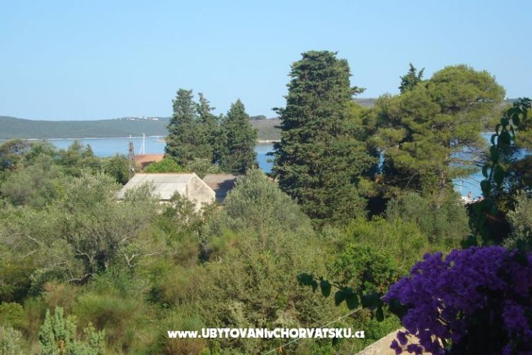 Appartementen Branko Vidaković – foto 12