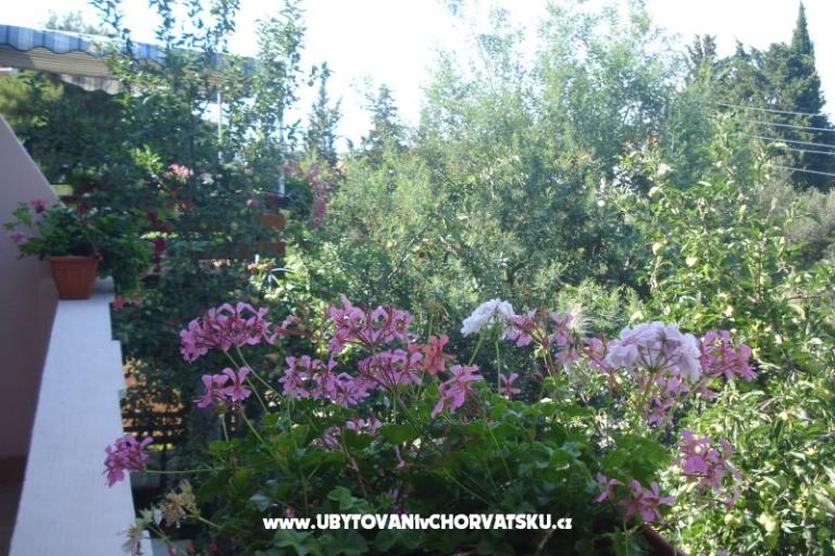 Appartementen Branko Vidaković – foto 8